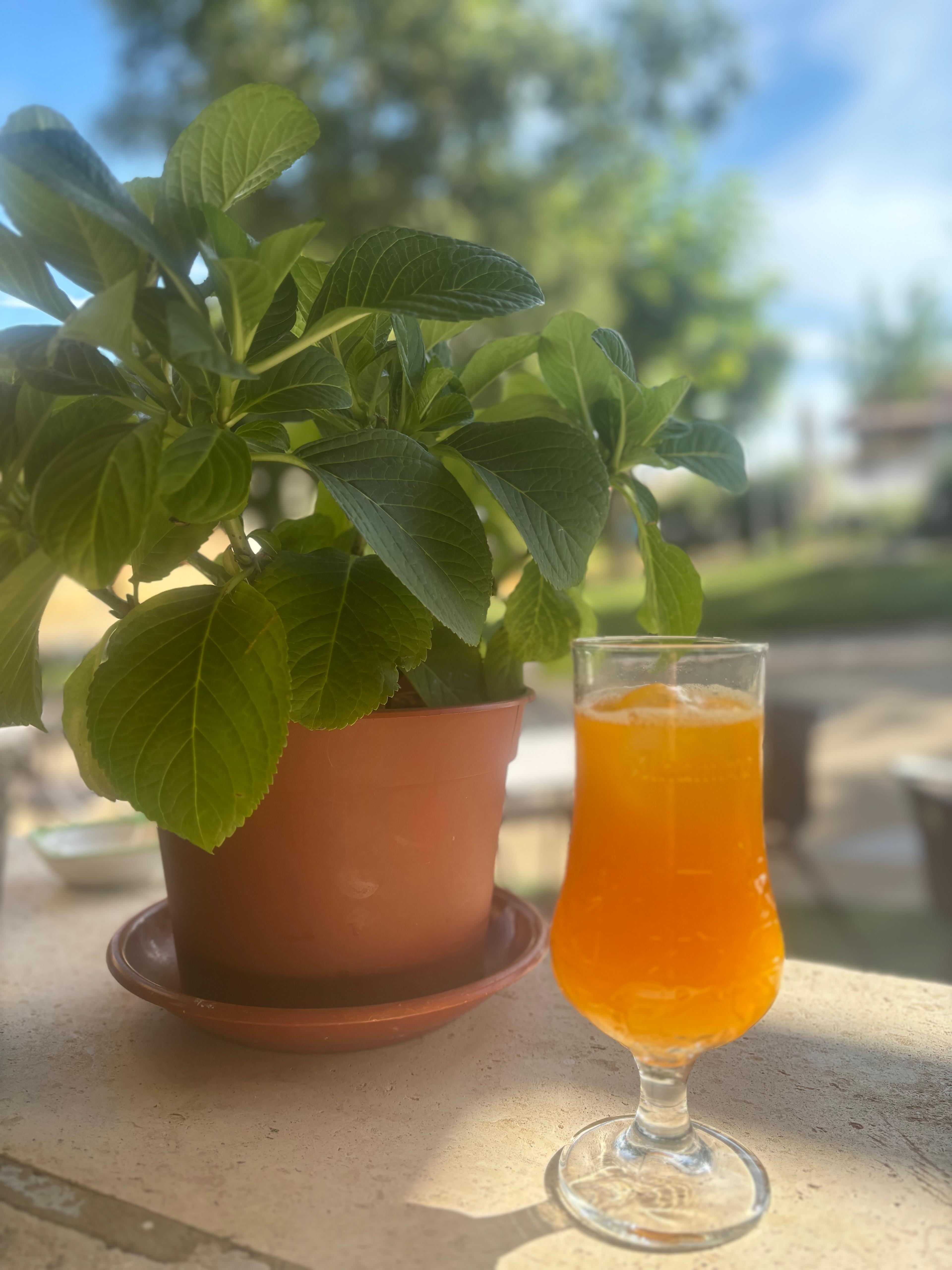 zumo